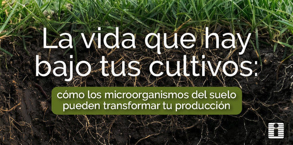 La vida que hay bajo tus cultivos: cómo los microorganismos del suelo pueden transformar tu producción