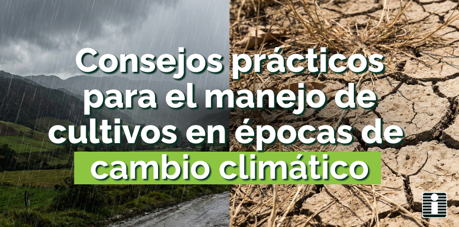 Consejos prácticos para el manejo de cultivos en épocas de cambio climático