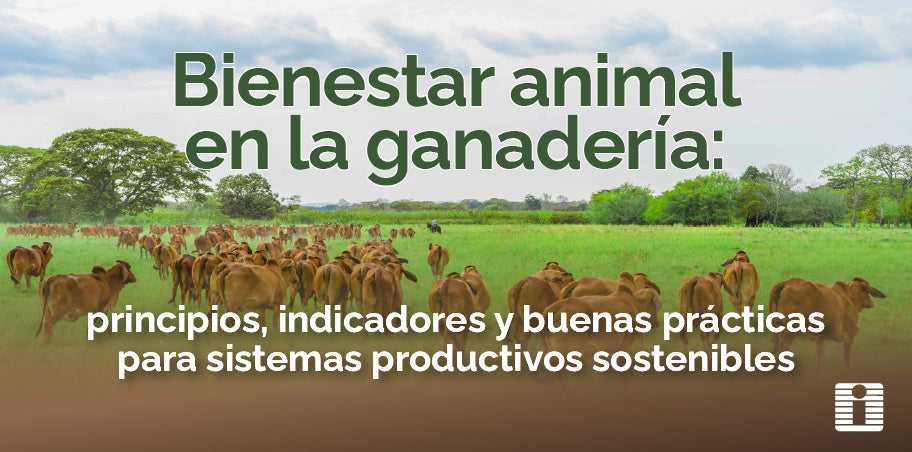 Bienestar animal en la ganadería: principios, indicadores y buenas prácticas para sistemas productivos sostenibles