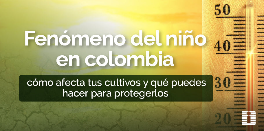 Fenómeno del Niño en Colombia: cómo afecta tus cultivos y qué puedes hacer para protegerlos
