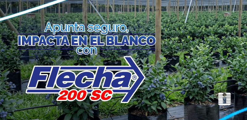 Apunta seguro, impacta en el blanco: el poder de FLECHA® 200 SC