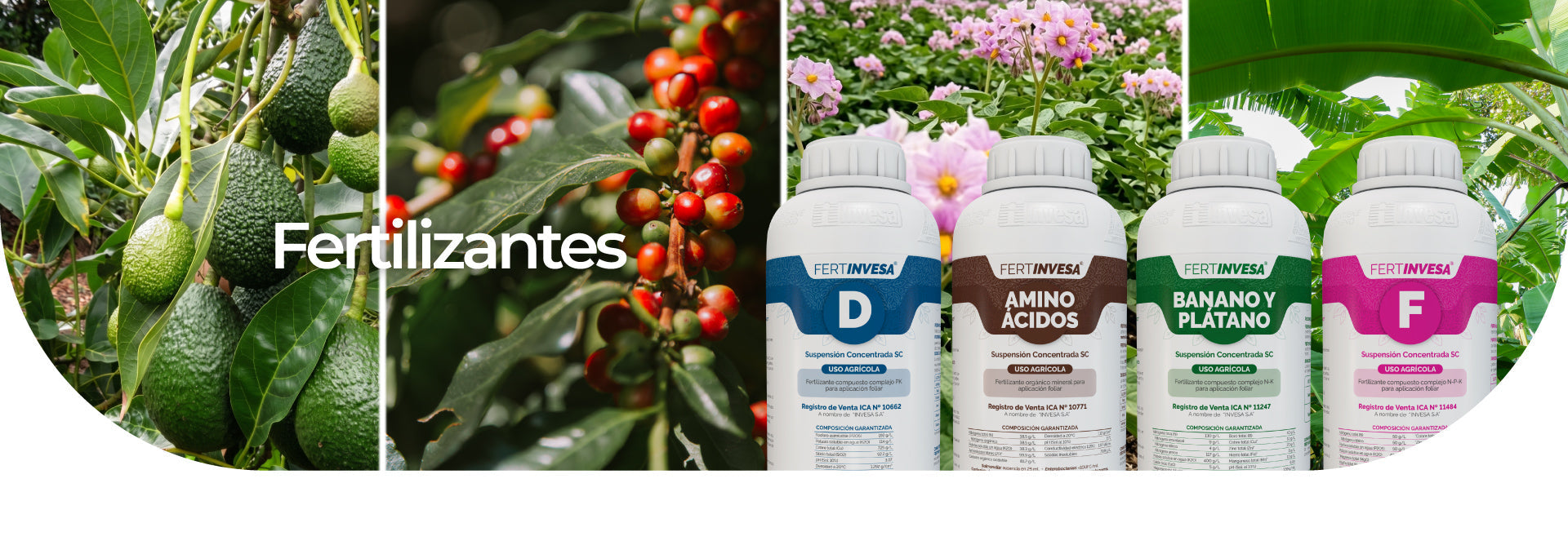 Fertilizantes
