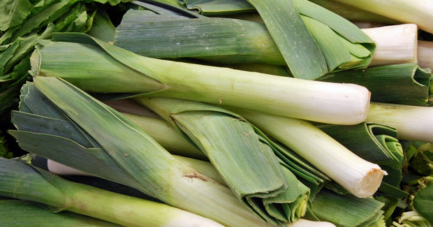 Cultivos: Puerro